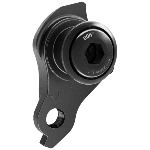 UDH Rear derailleur hanger